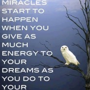 Miracles start to happen when you give as much energy to your dreams as you do to your fears