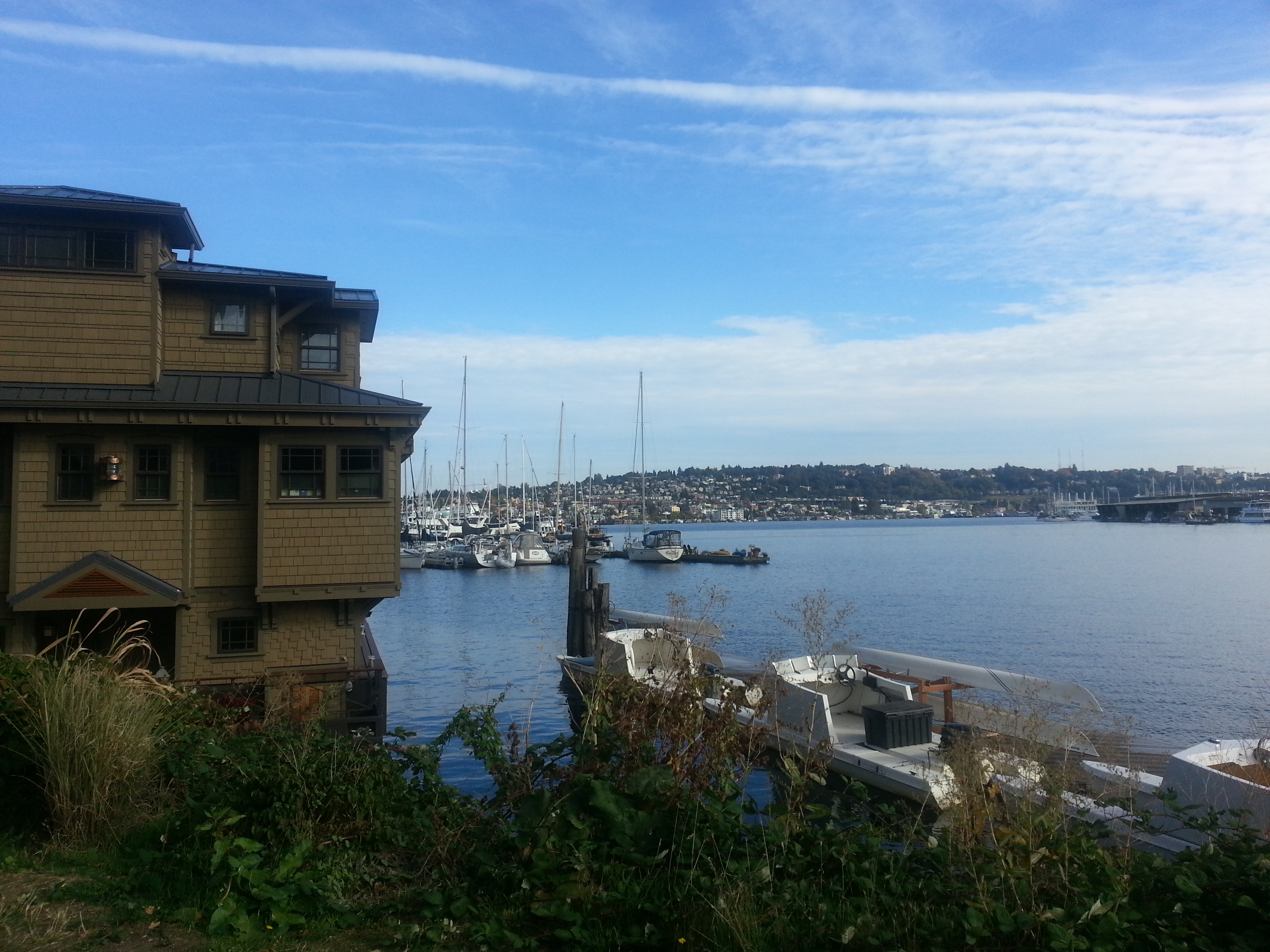 Seattle…Kinetic Energy Aplenty
